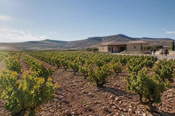 Half-Day Winery, Cava Trip, Zaragoza