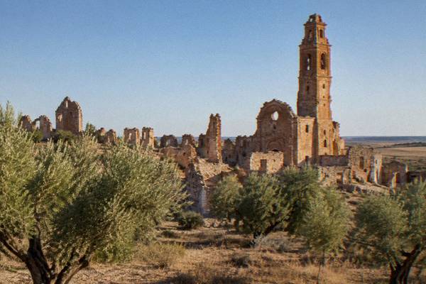 5-Hour Olive Oil, Belchite, Zaragoza
