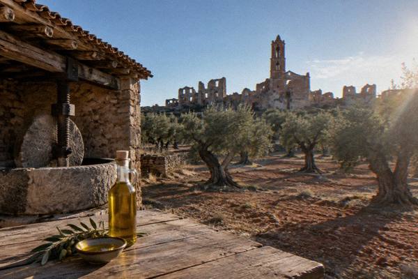 Olive Oil, Belchite Old Town, Zaragoza