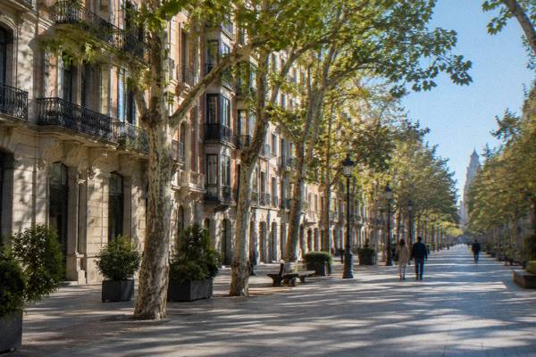 Private Custom Tour, Local Guide, Zaragoza