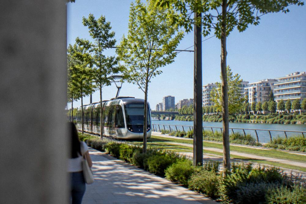 Modern tram travelling along a tree-lined avenue in a residential district