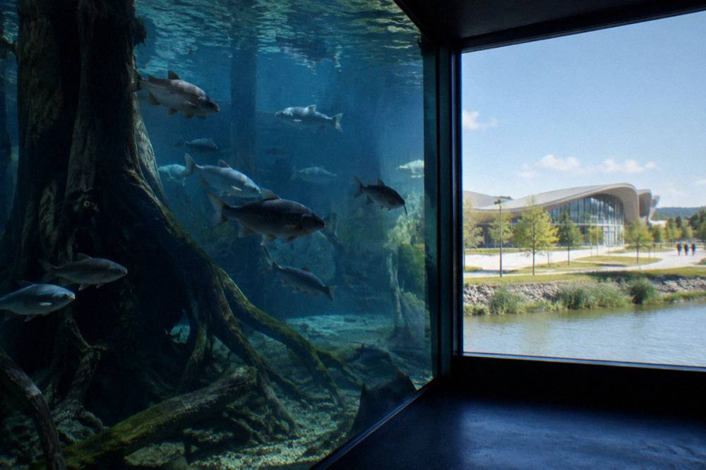 Freshwater fish swimming among submerged tree roots in a dim blue-lit tank