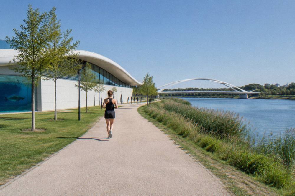 Modern white bridge spanning a wide river with reeds and parkland on the far bank