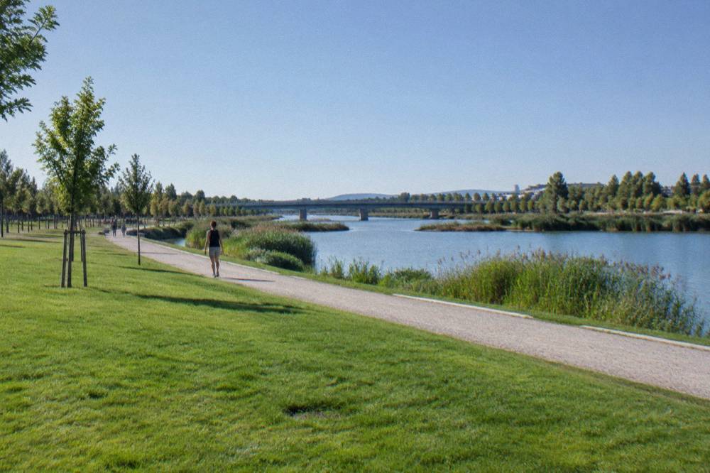 Wide flat lawns and gravel paths of the Parque del Agua curving alongside the Ebro river