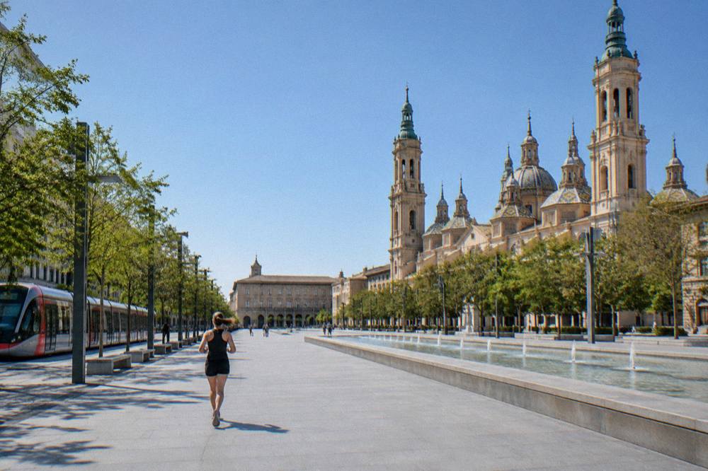 A modern tram travelling along a tree-lined avenue in Zaragoza