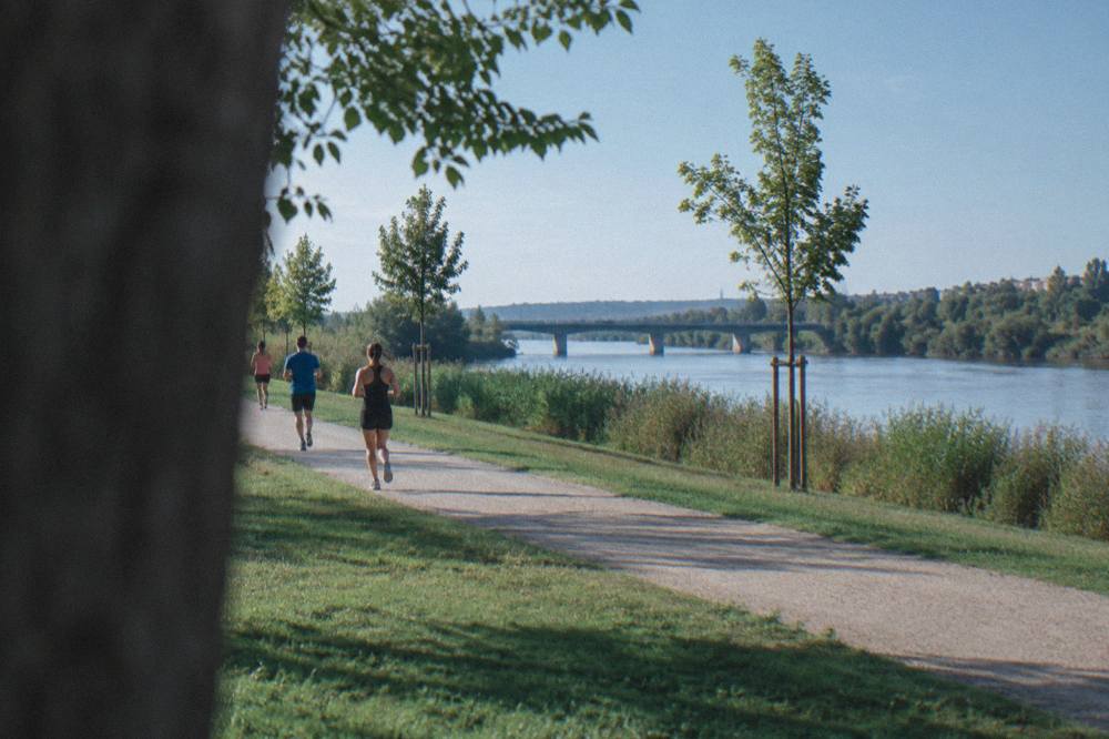 Runners on a gravel path through riverside meadow with the Ebro beyond