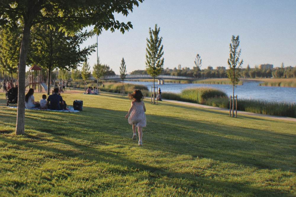 Families on a broad lawn with shade trees and a play area in a riverside park