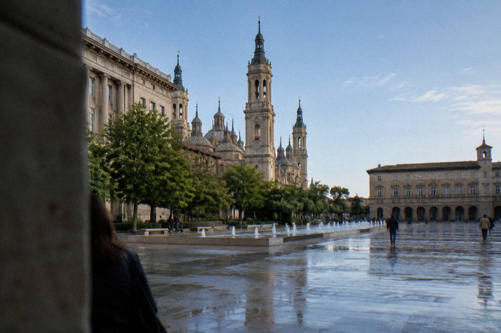 Classical museum building with a stone facade beside trees in a Zaragoza park