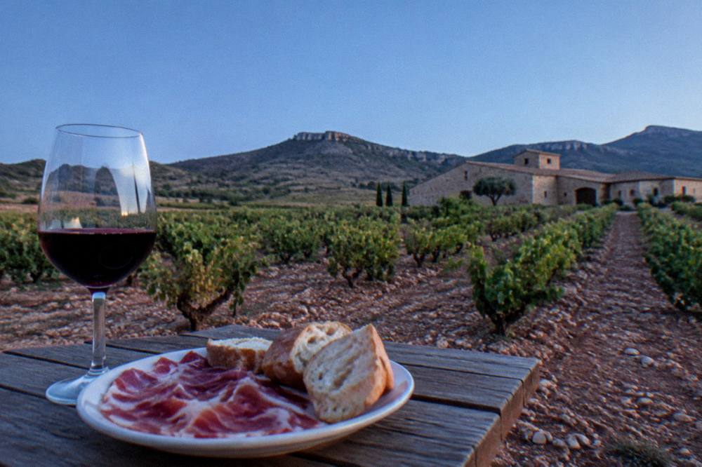A wine glass of deep red wine on a wooden table beside a plate of cured ham and bread