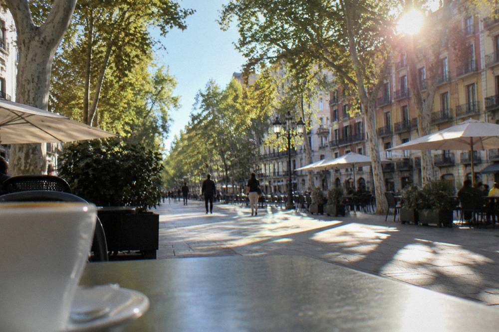 The Paseo de la Independencia in Zaragoza with its wide tree-lined pavements and cafe terraces