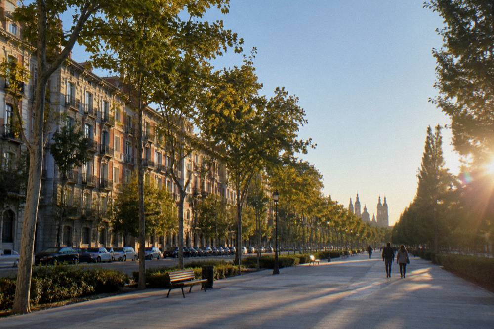 Cars parked along a quiet tree-lined street in a Spanish city at golden hour