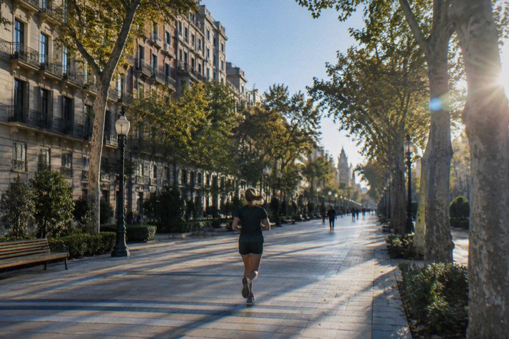 Paseo de la Independencia in Zaragoza with its wide sidewalk and rows of trees