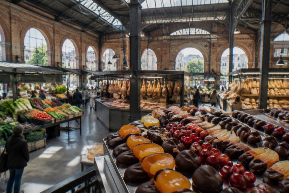Candied fruits dipped in dark chocolate, the classic frutas de Aragón, laid out in neat rows